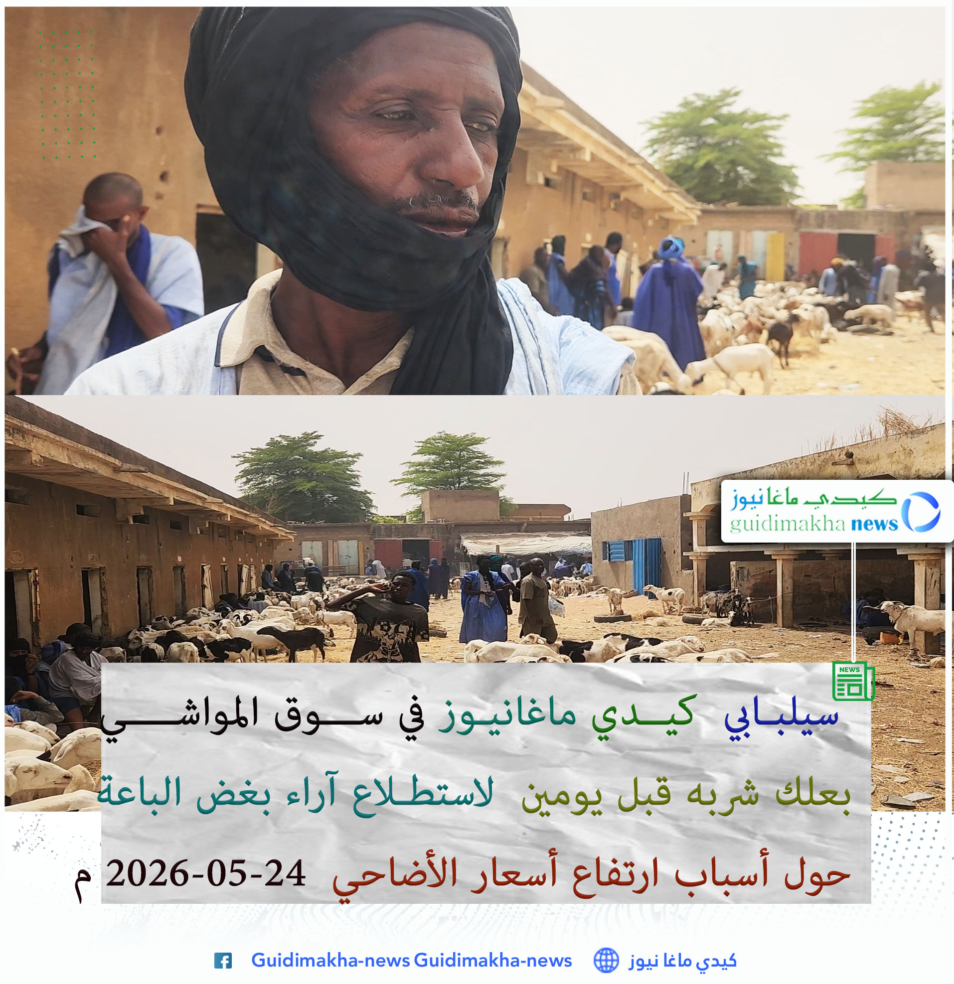 سيلبابي كيدي ماغانيوز في سوق المواشي بعلعلك شربة قبل يومين لاستطلاع آراءبعض الباعةحول أسباب ارتفاع أسعار الأضاحي ( فيديو )
